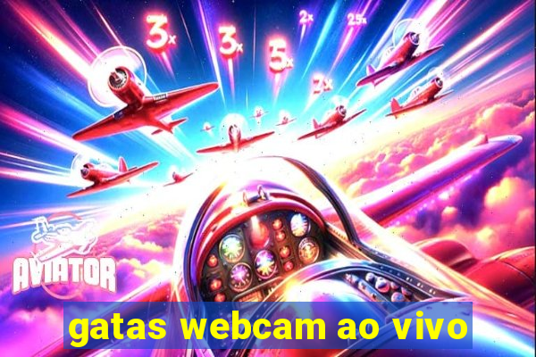 gatas webcam ao vivo